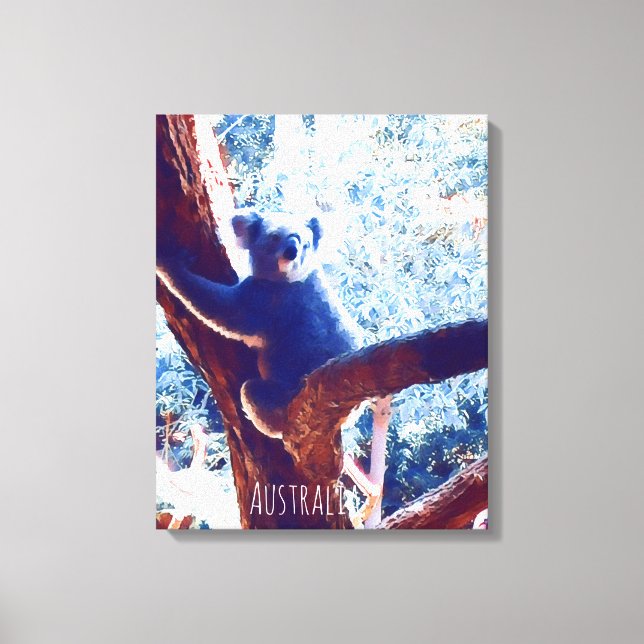 Koala in tree animal Australia Canvas Print (Front)