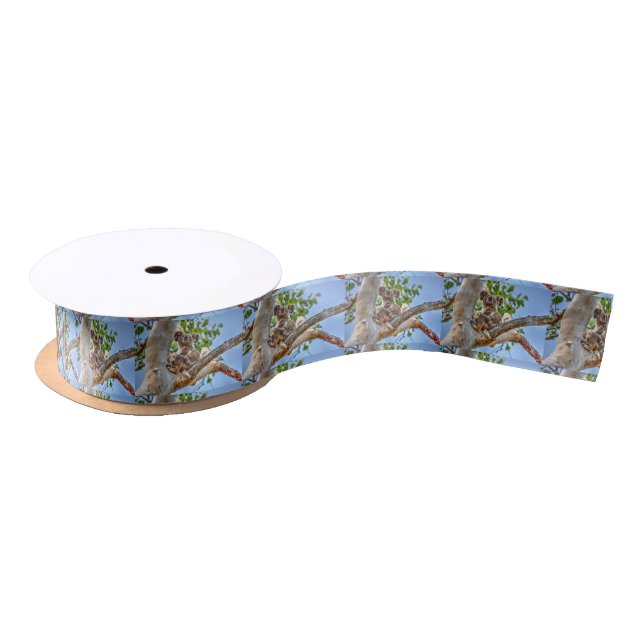 KOALA IN TREE AUSTRALIA ART EFFECTS SATIN RIBBON (Spool)