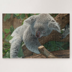 Koala Jigsaw Puzzle