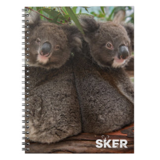 Koala Joeys violet and crumble notebook