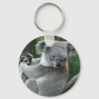 Koala Key Ring