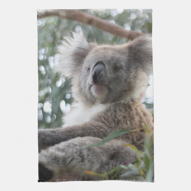 Koala Kitchen Towel (Vertical)