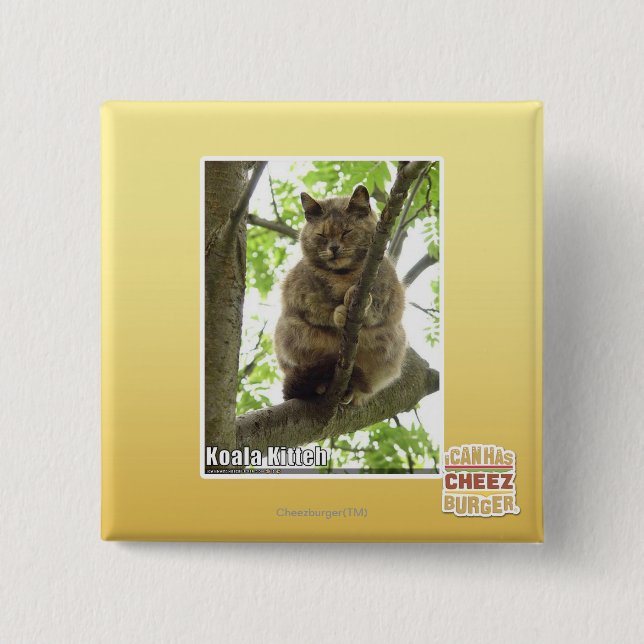 Koala Kitteh 15 Cm Square Badge (Front)