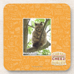 Koala Kitteh Coaster