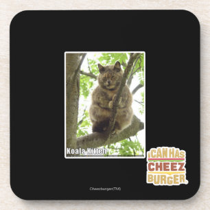 Koala Kitteh Coaster
