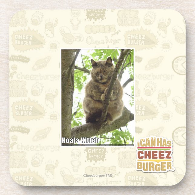 Koala Kitteh Coaster (Front)