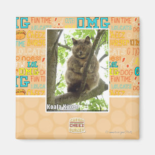 Koala Kitteh Magnet