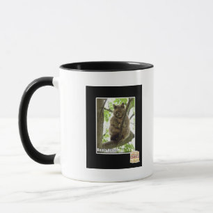 Koala Kitteh Mug