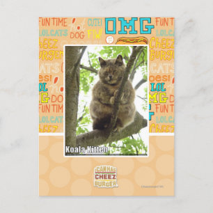 Koala Kitteh Postcard
