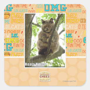 Koala Kitteh Square Sticker