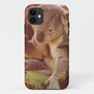Koala love iPhone 11 case