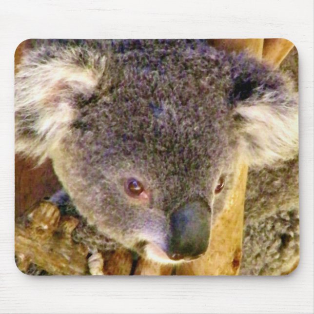 Koala Love_ Mouse Mat (Front)