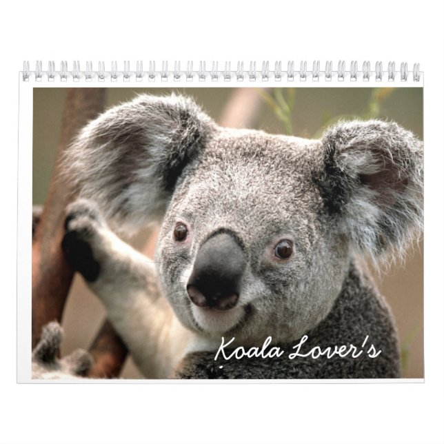 Koala Lover's Calender Calendar (Cover)