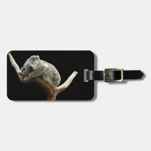 Koala luggage name tag