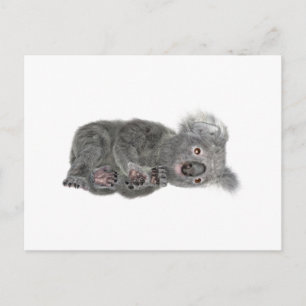 Koala Lying Down Postcard