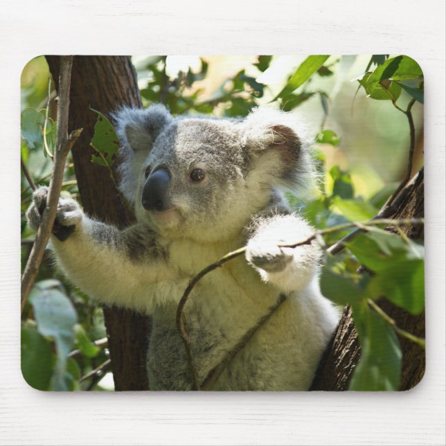 koala mouse mat (Front)