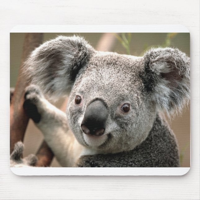 Koala Mouse Mat (Front)