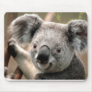 Koala Mouse Mat