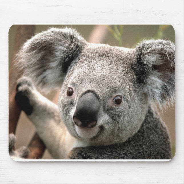 Koala Mouse Mat (Front)