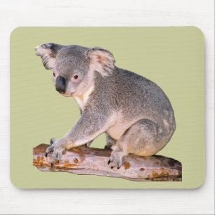 Koala Mousepadd Mouse Mat