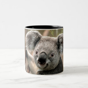 Koala Mug