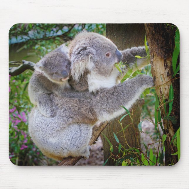Koala mum son mouse mat (Front)