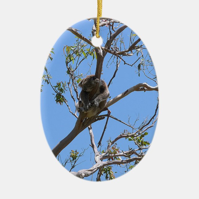 Koala Nap Ceramic Tree Decoration (Front)