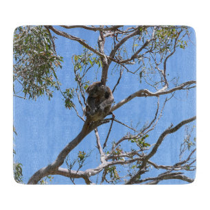 Koala Nap Cutting Board