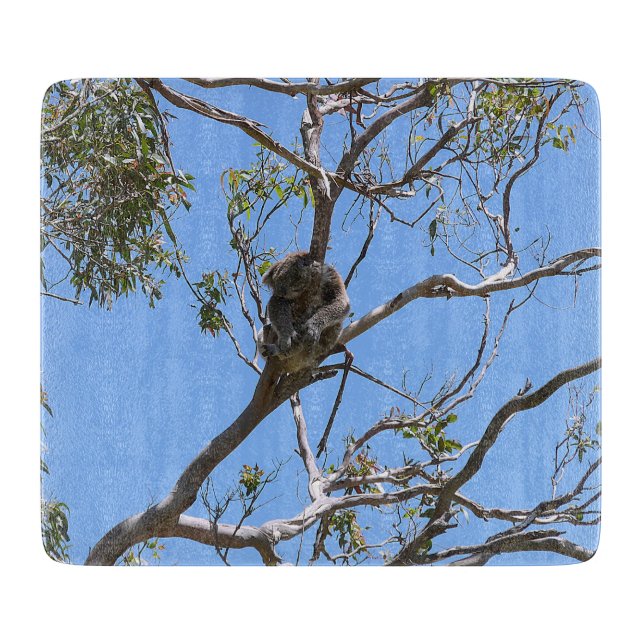 Koala Nap Cutting Board (Front)