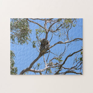 Koala Nap Jigsaw Puzzle
