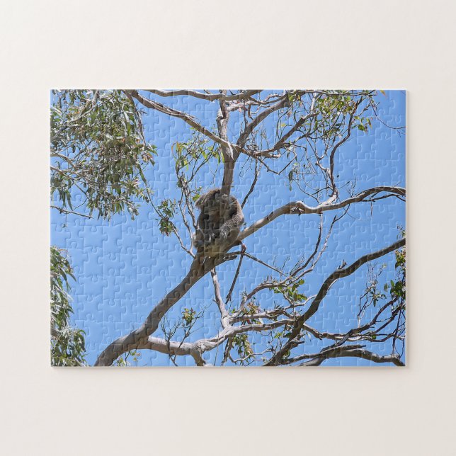 Koala Nap Jigsaw Puzzle (Horizontal)