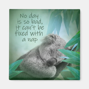 Koala Nap Magnet