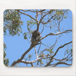 Koala Nap Mouse Mat