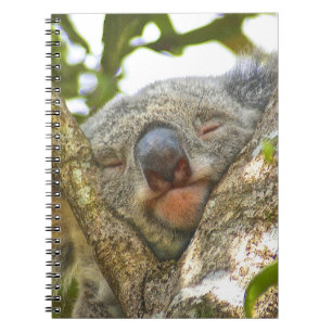 Koala Notebook