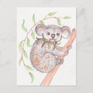 Koala on Tree Branch Postcard