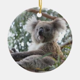 Koala Ornament