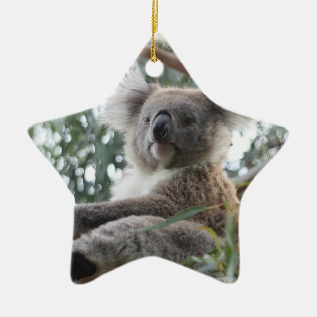 Koala Ornament (Front)