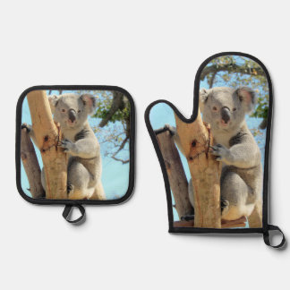 Koala oven mitt & pot holder set