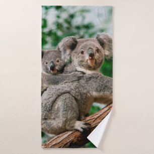 Koala, phascolarctos cinereus, Female carrying You Bath Towel