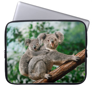 Koala, phascolarctos cinereus, Female carrying You Laptop Sleeve