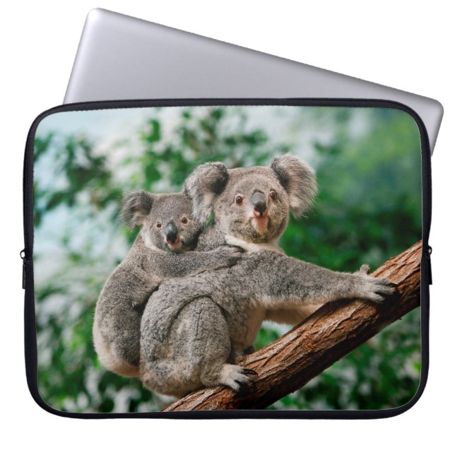 Koala, phascolarctos cinereus, Female carrying You Laptop Sleeve (Front)