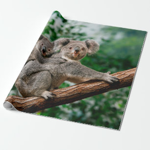 Koala, phascolarctos cinereus, Female carrying You Wrapping Paper