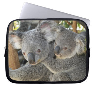Koala Phascolarctos cinereus Queensland . Laptop Sleeve
