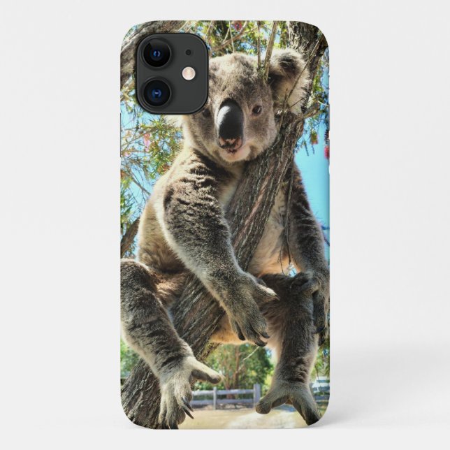 Koala Phone Case (Back)