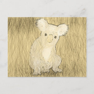 Koala Postcard