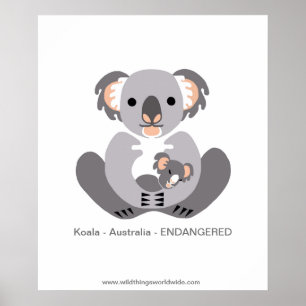 Koala - poster