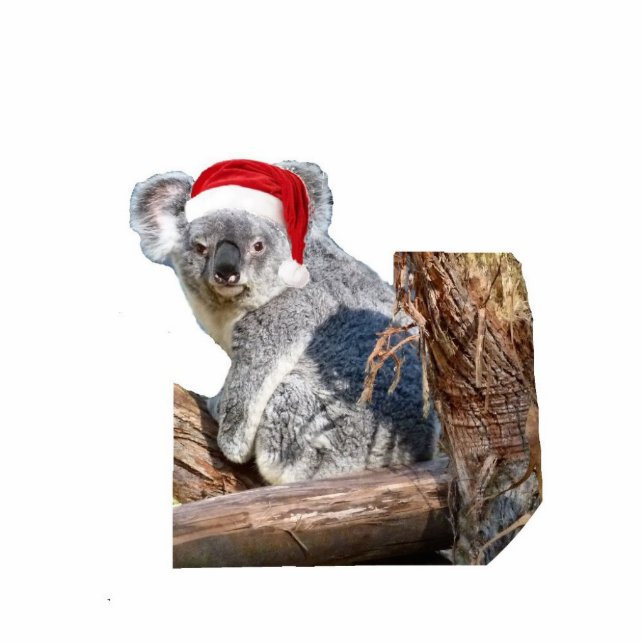 Koala Santa Photo Sculpture Decoration (Front)