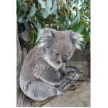 Koala Sculpture Standing Photo Sculpture<br><div class="desc">Koalas are great in pictures but even better when it is a sculpture</div>
