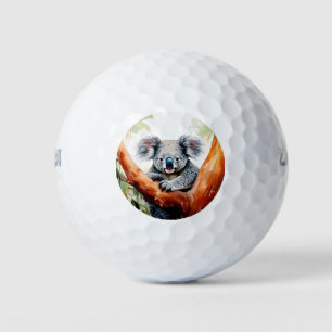 Koala Sitting in a Gum tree Golf Balls