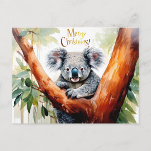 Koala Sitting in a Gum tree Merry Christmas Holiday Postcard